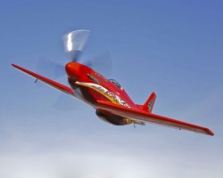 Dago Red in flight